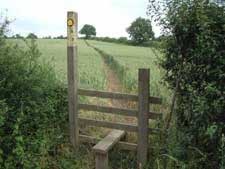 R64 Barlestone footpath